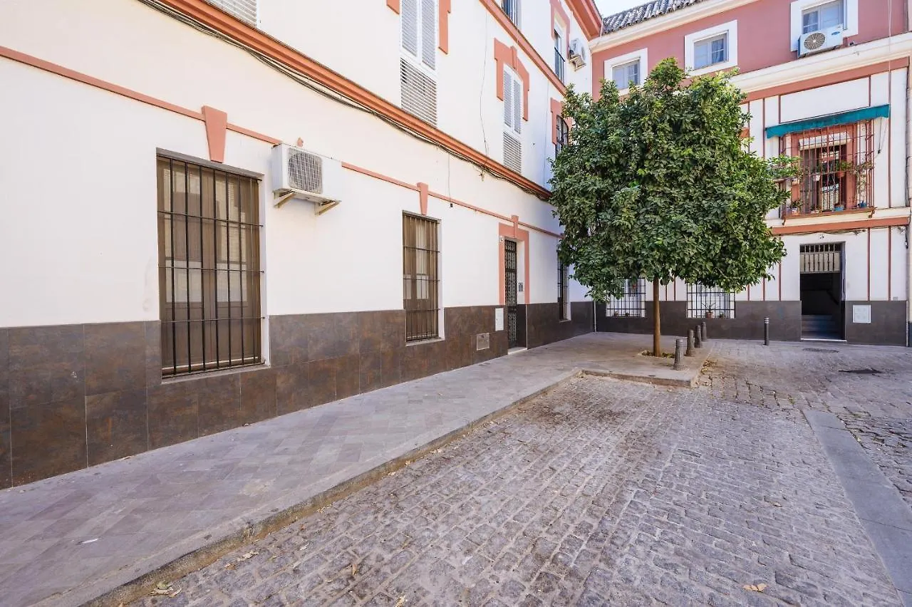 Sevillano Apto En Centro Cerca De Santa Justa contacts